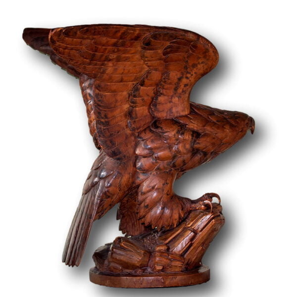 side profile of the eagle