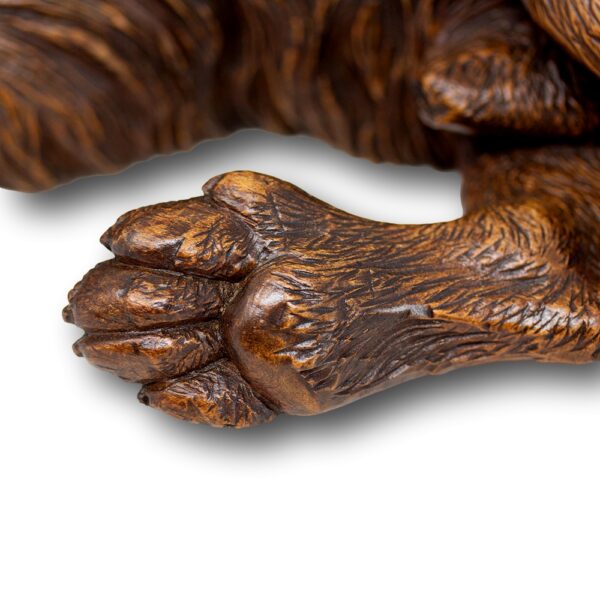 Close up of the dogs paw