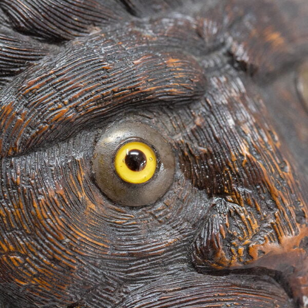 Close up of the lions glass eye