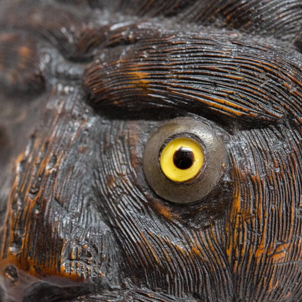 Close up of the lions glass eye