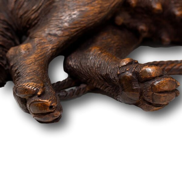 Close up of the paws