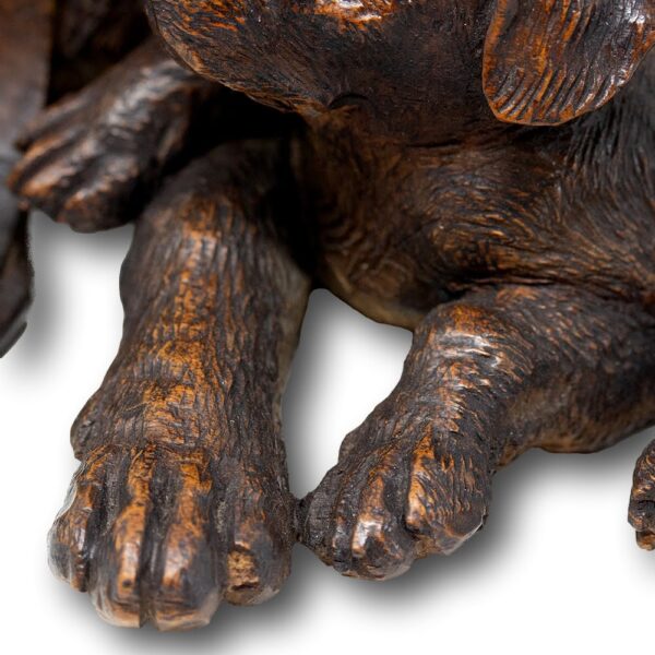 Close up of the paws