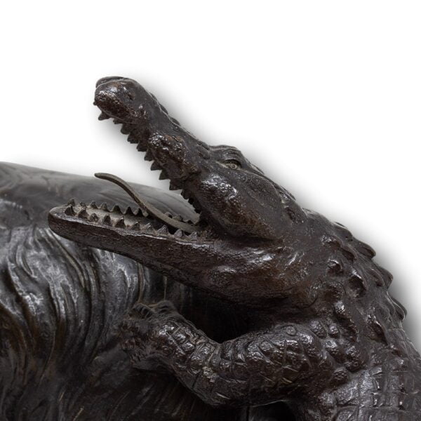 Close up of the Alligator