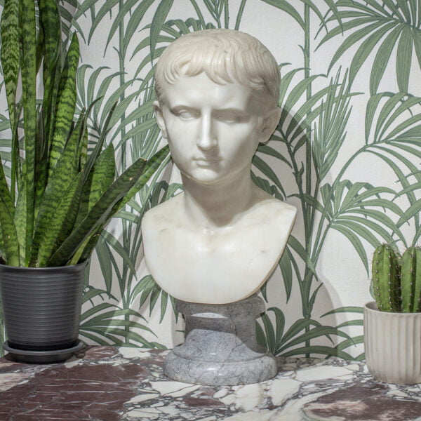 Italian Carrara Marble Bust Augustus Caesar in a decorative collectors setting