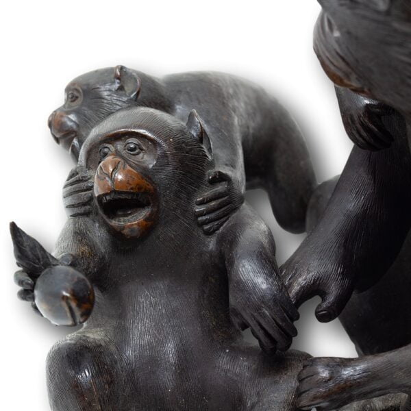 Close up of the infant monkeys playing