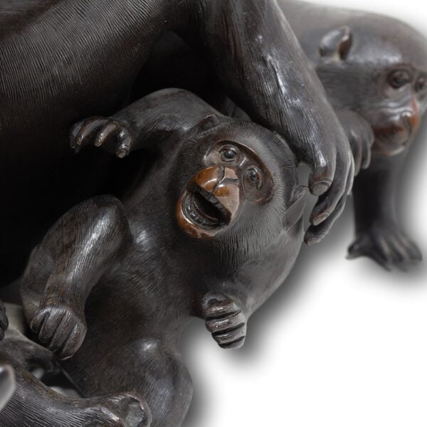 Close up of the infant monkeys playing