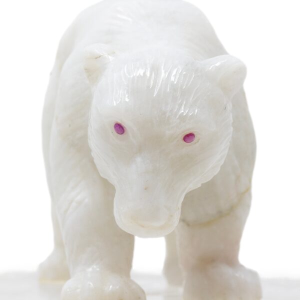 Close up of the white onyx polar bears face