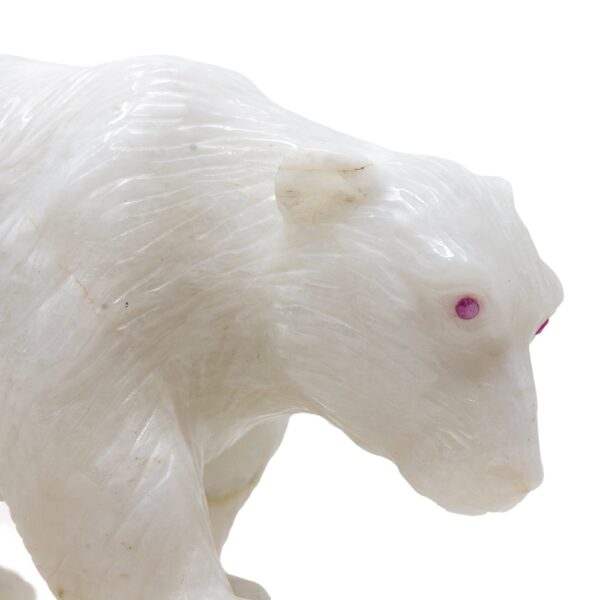 Close up of the side of the white onyx polar bears face