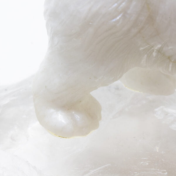 Close up of the white onyx polar bear feet by Alfred pocock
