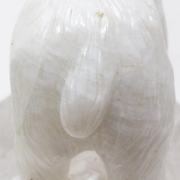 Close up of the white onyx polar bear tail by Alfred pocock