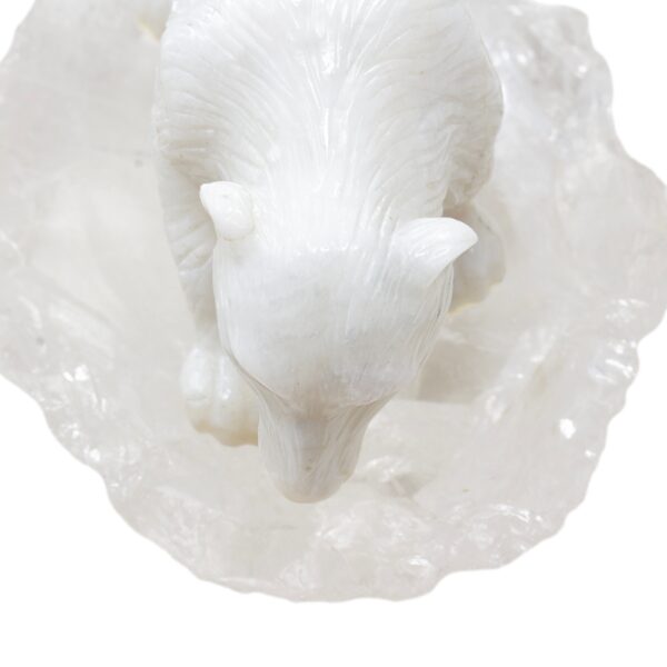 Close up of the white onyx polar bear head by Alfred pocock